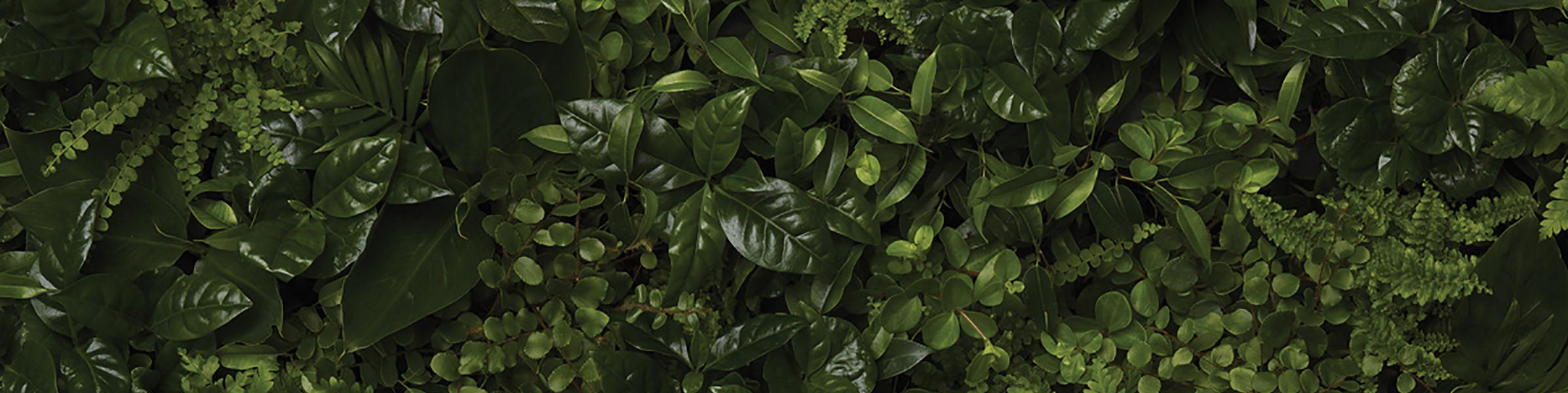 A apărut o eroare neașteptată, vă rugăm să încercați din nou mai târziu.