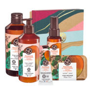 Set 3 Mango & Coriandru
