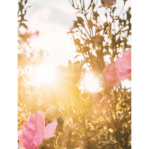 Apă de parfum Plein Soleil